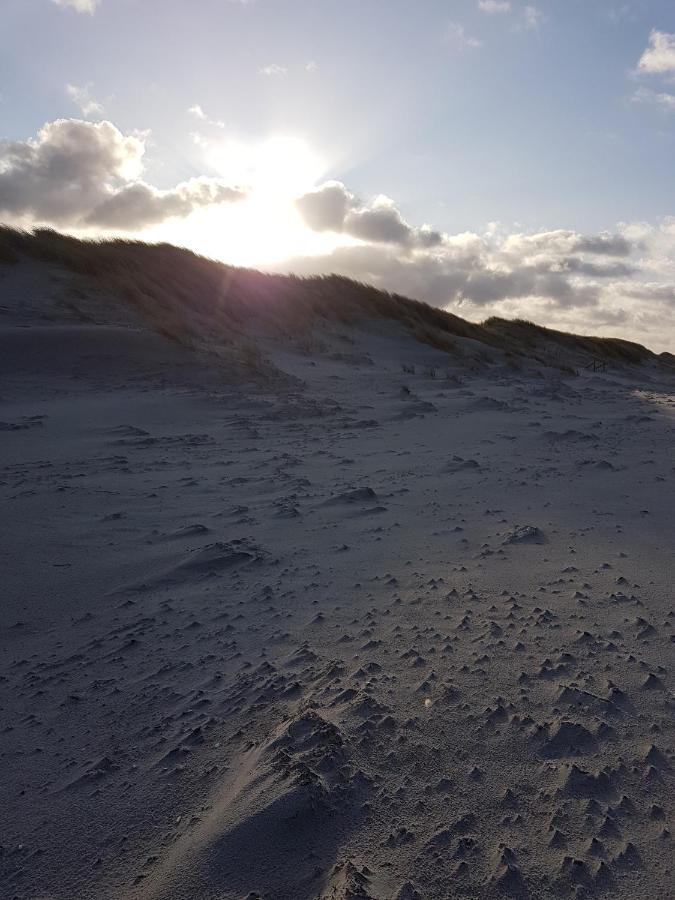 Sonnenstrahl Im Kuestenwald Gelbensande Buitenkant foto
