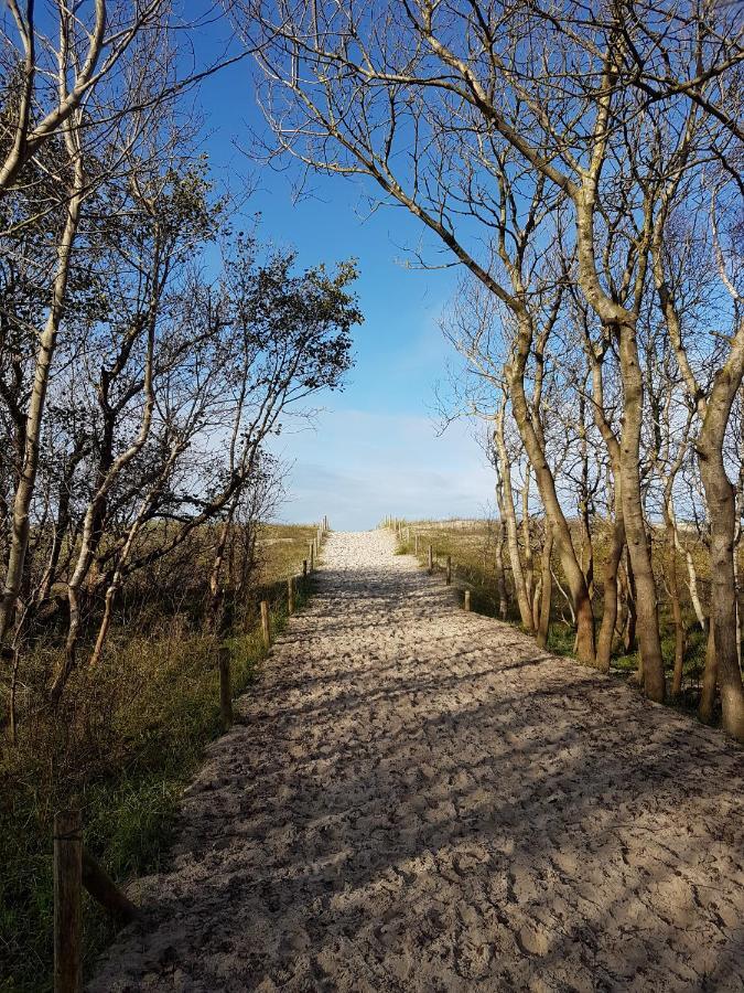 Sonnenstrahl Im Kuestenwald Gelbensande Buitenkant foto